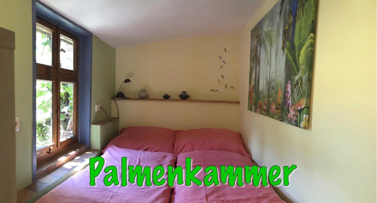 ויצנהאוזן Fewo Paramaribo מראה חיצוני תמונה